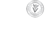 Brit Veterinary